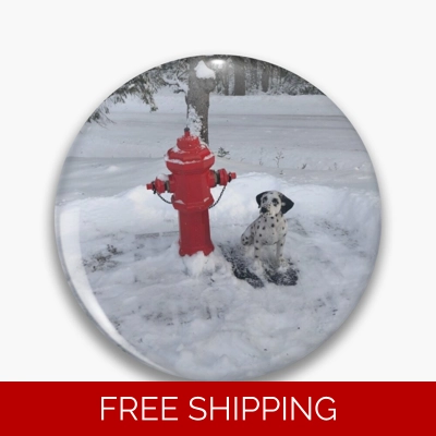 Le Studio Pin Rush Signals Monument Winter 2019